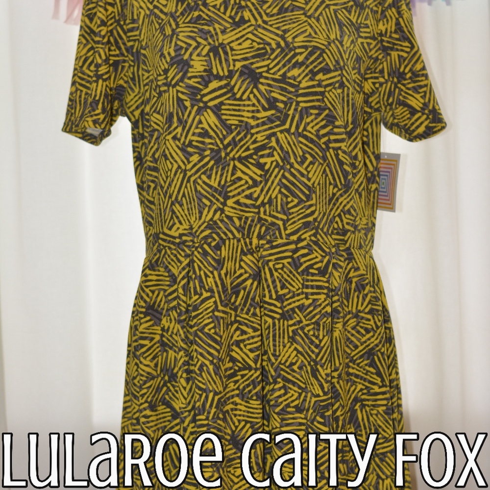 LuLaRoe Amelia Dress